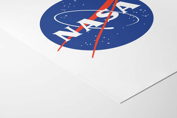 NASA Meatball Logo