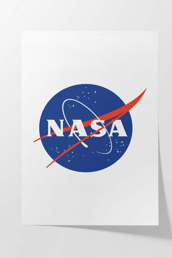 NASA Meatball Logo